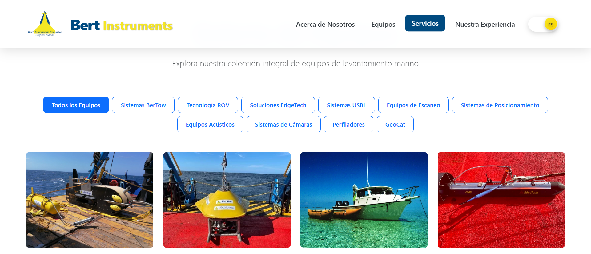 Bert Instruments Services